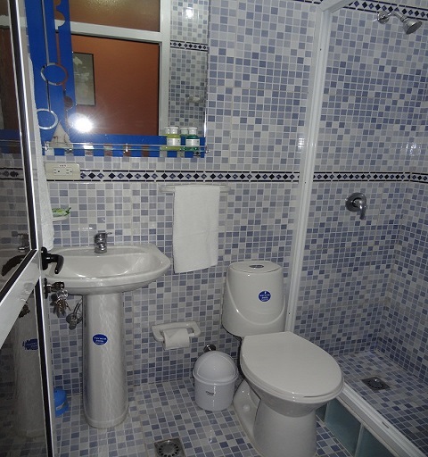 'Bano habitacion1' Casas particulares are an alternative to hotels in Cuba.