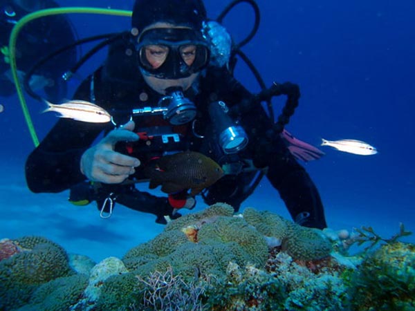 'Buceo' Casas particulares are an alternative to hotels in Cuba.