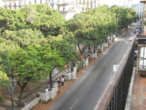 'VIEW FROM THE TERRACE' Casas particulares are an alternative to hotels in Cuba.