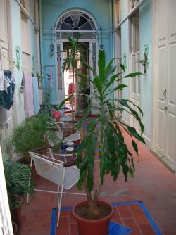 'Yard' Casas particulares are an alternative to hotels in Cuba.