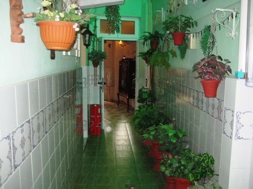 'plants' Casas particulares are an alternative to hotels in Cuba.