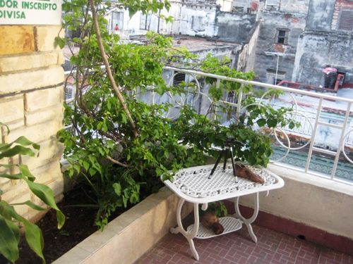 'balcony' Casas particulares are an alternative to hotels in Cuba.