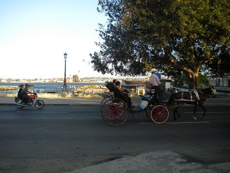 'Alameda de Paula' Casas particulares are an alternative to hotels in Cuba.