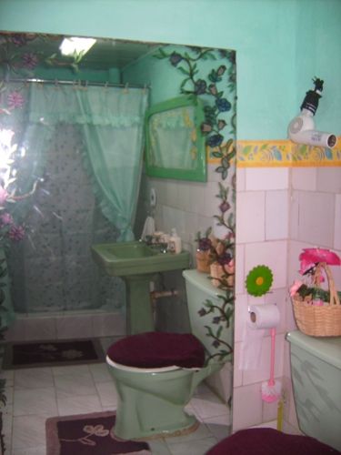 'bathroom' Casas particulares are an alternative to hotels in Cuba.