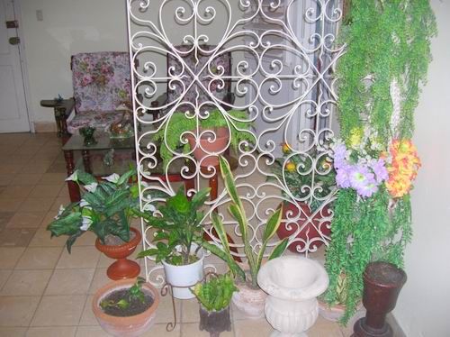 'Plants' Casas particulares are an alternative to hotels in Cuba.