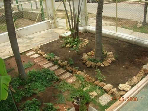 'Garden' Casas particulares are an alternative to hotels in Cuba.