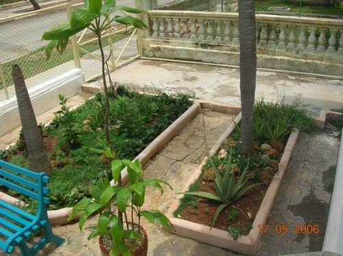 'Garden' Casas particulares are an alternative to hotels in Cuba.
