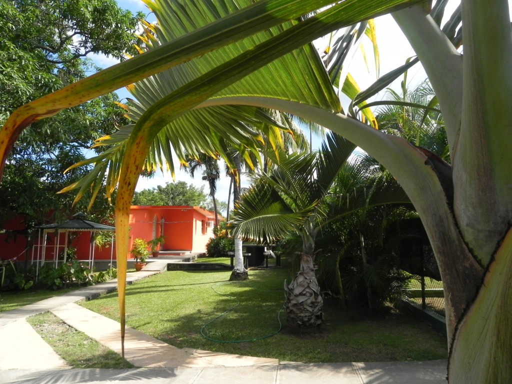 '' Casas particulares are an alternative to hotels in Cuba.