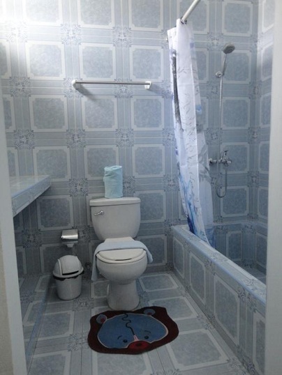 'Bathroom 1' Casas particulares are an alternative to hotels in Cuba.