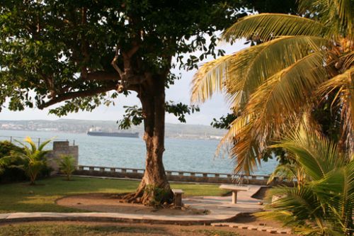 'Back yard' Casas particulares are an alternative to hotels in Cuba.