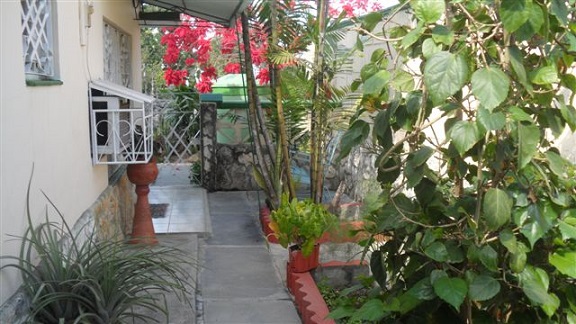 'Patio' 