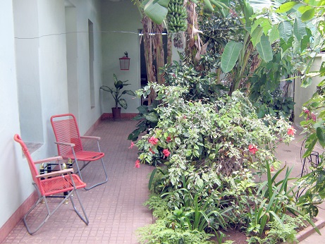 'Courtyard' Casas particulares are an alternative to hotels in Cuba.