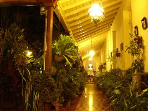 'Interior Hall and Yard' Casas particulares are an alternative to hotels in Cuba.