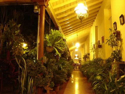 'Interior Hall and Yard' Casas particulares are an alternative to hotels in Cuba.