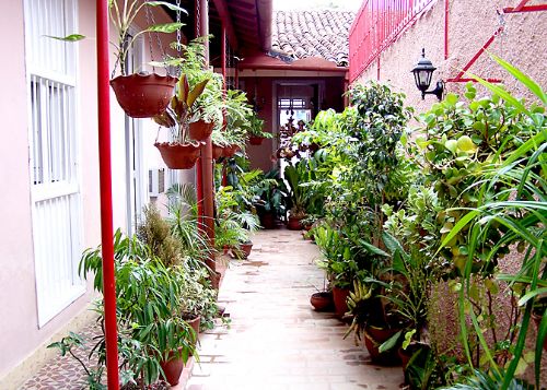 'Yard ' Casas particulares are an alternative to hotels in Cuba.