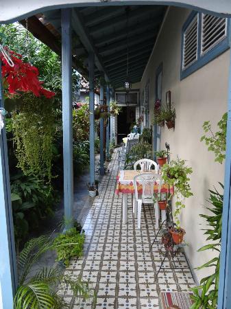 'Pasillo Exterior y Patio' Casas particulares are an alternative to hotels in Cuba.