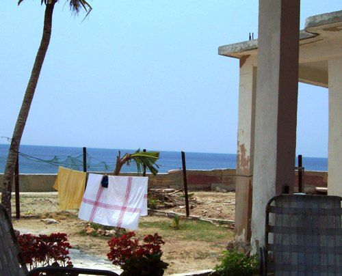 'backyard' Casas particulares are an alternative to hotels in Cuba.