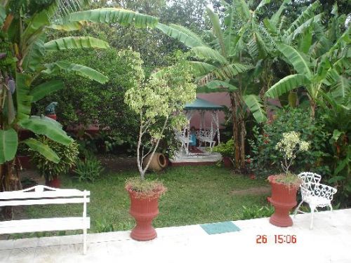 'Yard' Casas particulares are an alternative to hotels in Cuba.