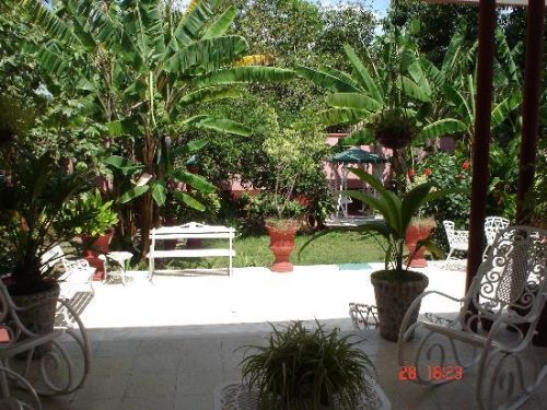 'Yard' Casas particulares are an alternative to hotels in Cuba.