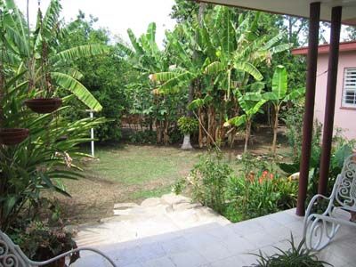 'Yard' Casas particulares are an alternative to hotels in Cuba.