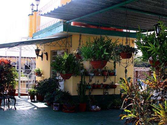 'Patio' Casas particulares are an alternative to hotels in Cuba.