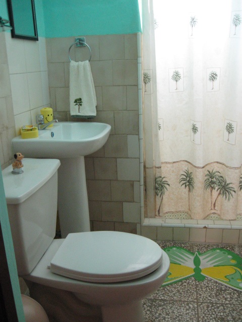 'Bathroom' Casas particulares are an alternative to hotels in Cuba.