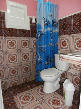 'Bathroom' Casas particulares are an alternative to hotels in Cuba.