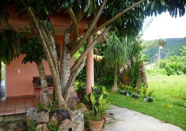 'Patio' Casas particulares are an alternative to hotels in Cuba.