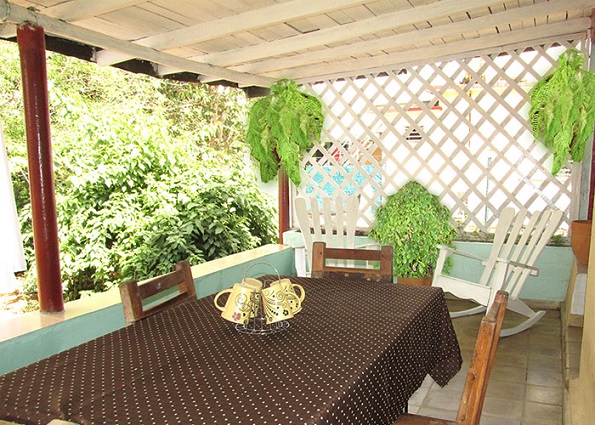 'Back terrace' 