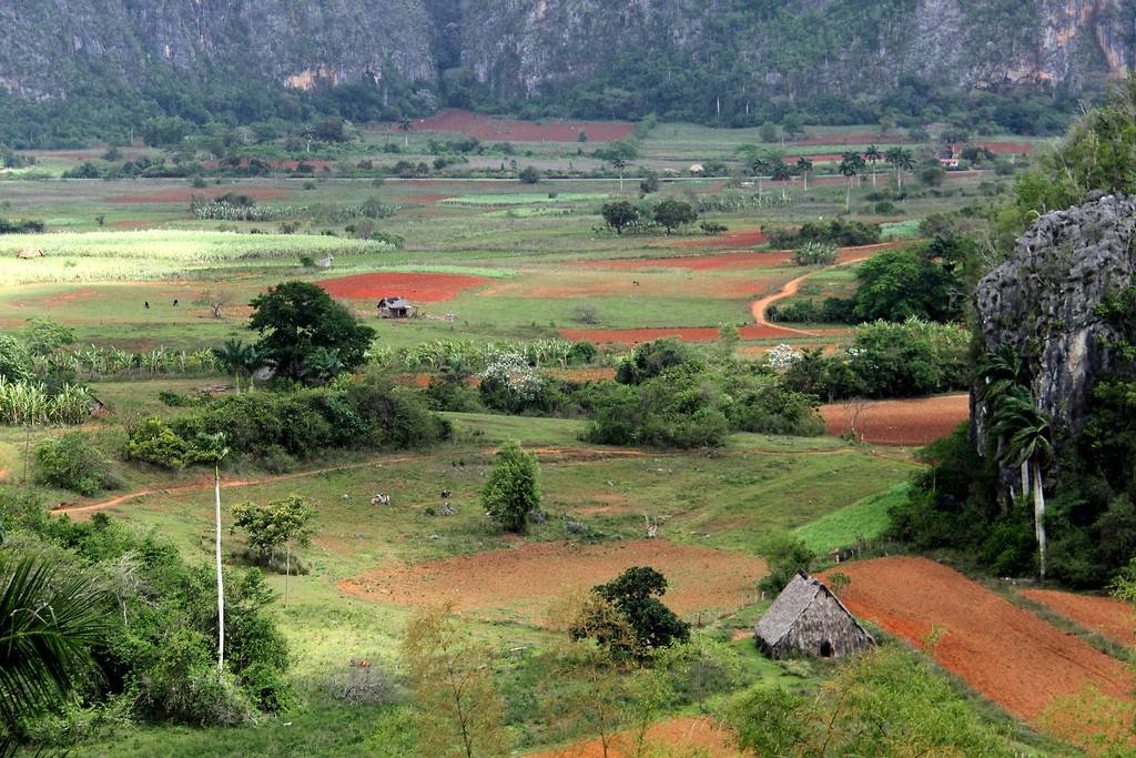 '' Casas particulares are an alternative to hotels in Cuba.