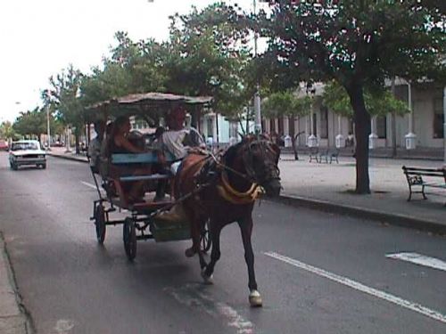 '' Casas particulares are an alternative to hotels in Cuba.