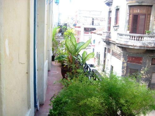 'balcony' Casas particulares are an alternative to hotels in Cuba.