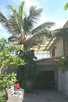 'The stairs to your flat' Casas particulares are an alternative to hotels in Cuba.