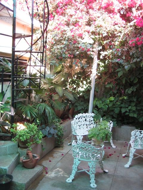 'patio and stairs that lead to roof for sun tan' Casas particulares are an alternative to hotels in Cuba.